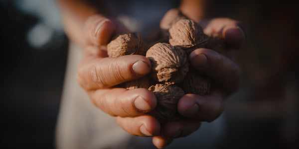 Organic Chandler Walnuts - Bertagna Nut Co.