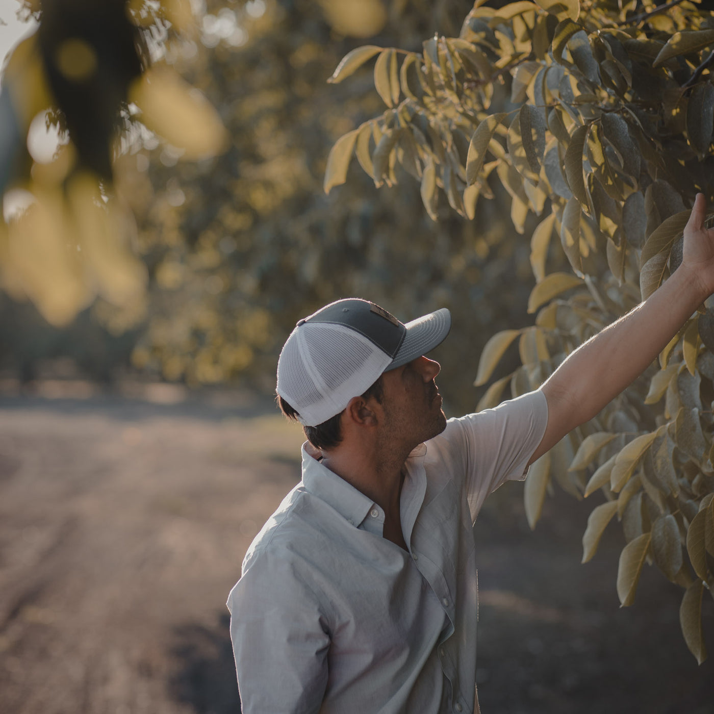 Greater Economic Opportunity